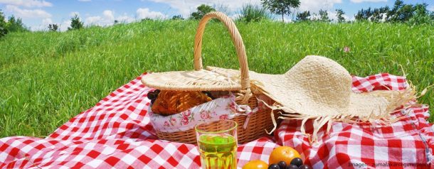 Como hacer un picnic de empresa