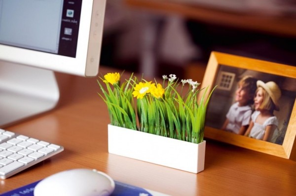 Los artículos promocionales decorativos con plantas para la mesa de oficina dan personalidad a su lugar de trabajo