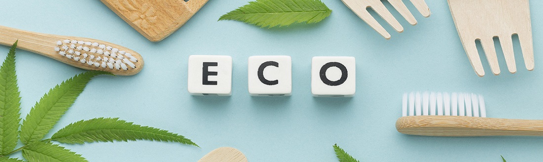 Regalos ecológicos