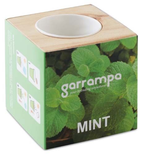 Jardinería menta maceta con semillas de menta de varios materiales para personalizar vista 1