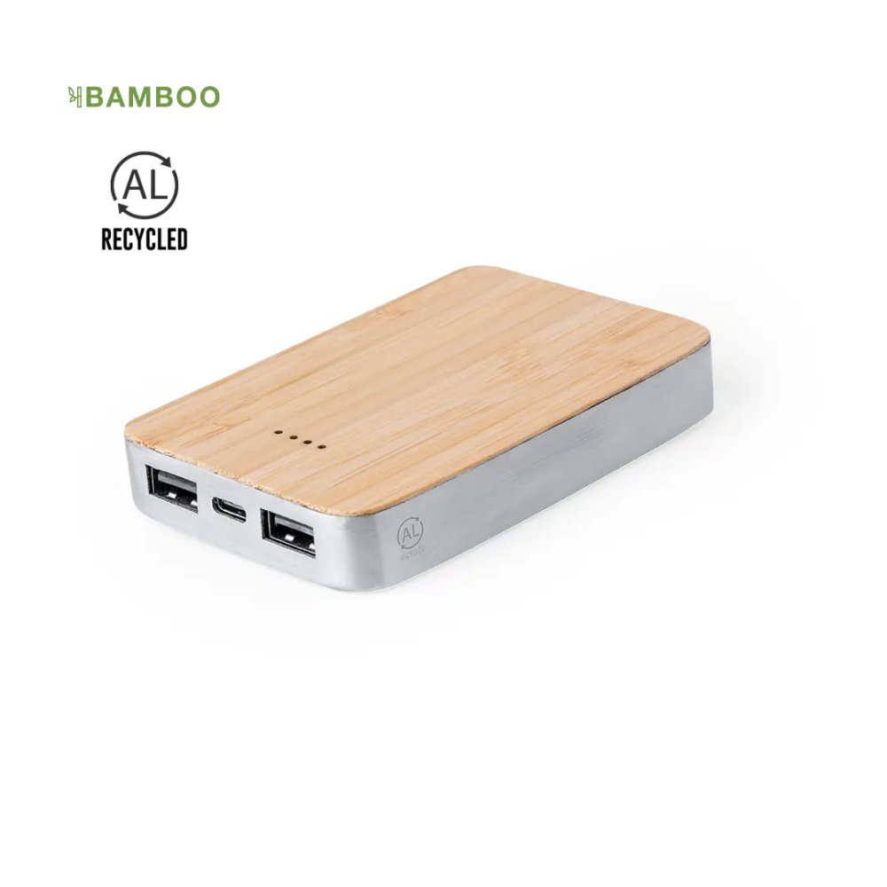 Power Bank Newin