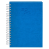 Agenda Wayrux vista 1