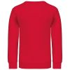 sudadera cuello redondo niños manga larga red vista3