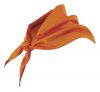 Uniformes de hosteleria velilla pico de algodon naranja para personalizar vista 1