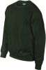 sudadera dryblend® cuello redondo manga larga forest green vista3