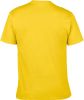 camiseta softstyle hombre manga corta daisy vista3