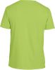 camiseta softstyle hombre manga corta lime vista2