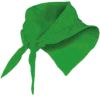 Pañuelos lisos roly festero de poliéster verde con impresión vista 1