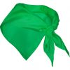 Pañuelos lisos roly festero de poliéster verde irish con impresión vista 1