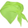 Pañuelos lisos roly festero de poliéster verde mantis con impresión vista 1