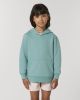 mini cruiser teal monstera vista1